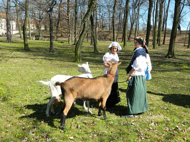 img00076.jpg