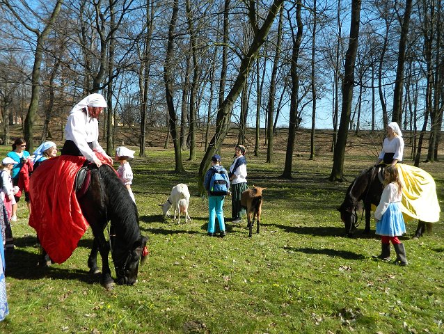 img00079.jpg
