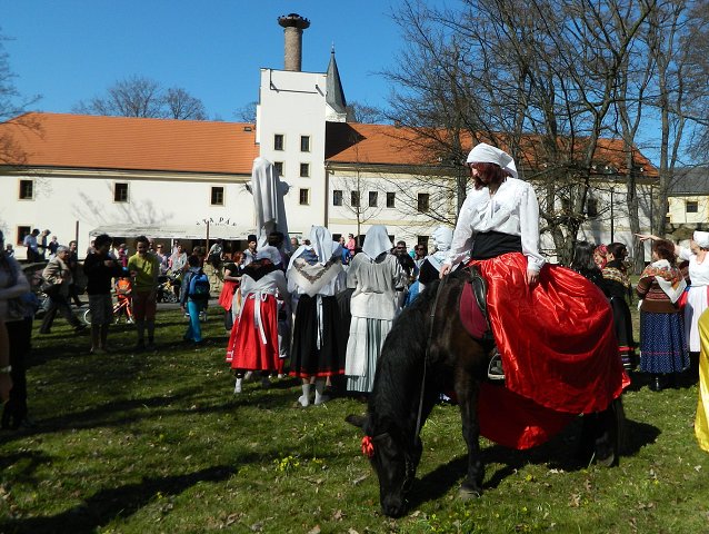 img00080.jpg