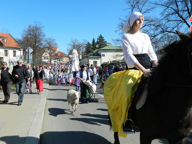 img00099.jpg