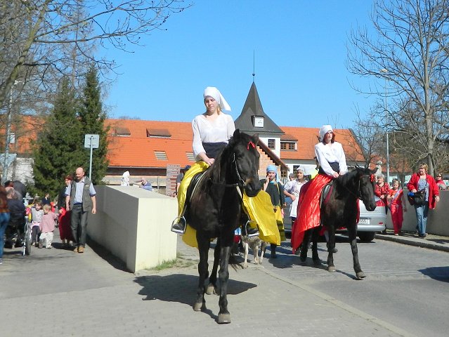 img00101.jpg