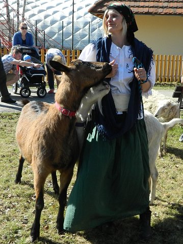 img00113.jpg