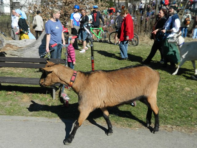 img00115.jpg