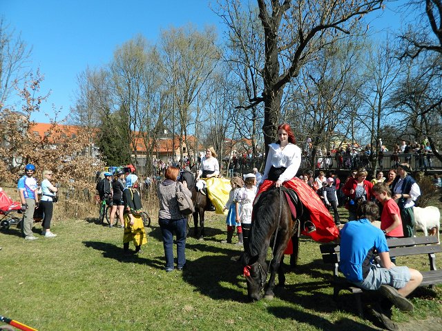 img00116.jpg