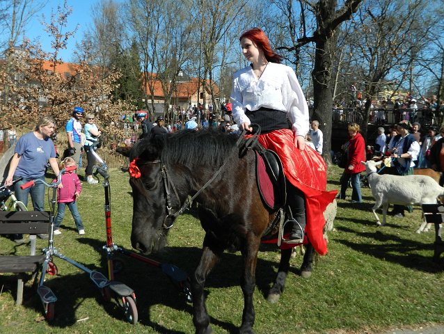 img00117.jpg