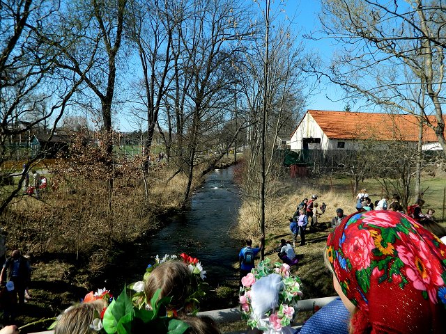 img00118.jpg