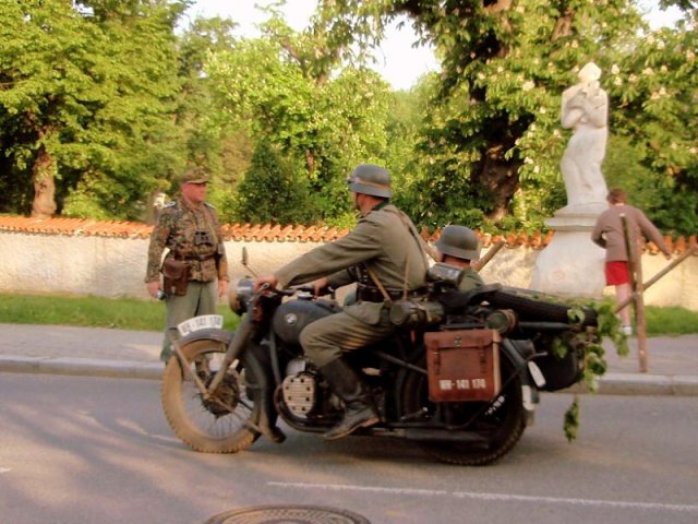 img00065.jpg