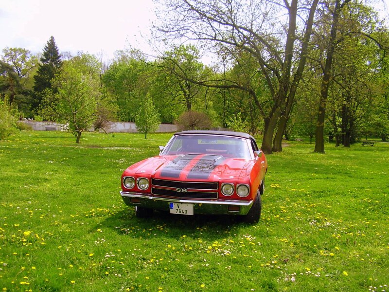 img00003.jpg