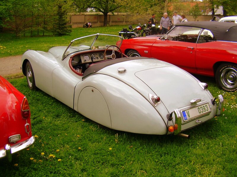 img00026.jpg