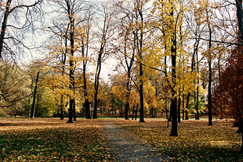 Podzim v zámeckém parku