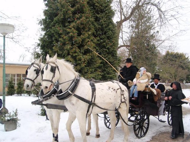 img00003.jpg