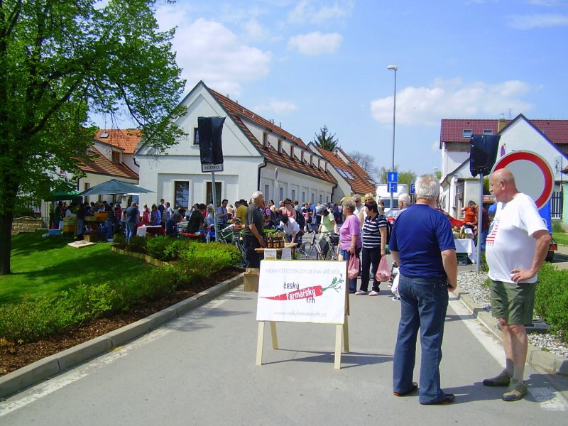 img00011.jpg