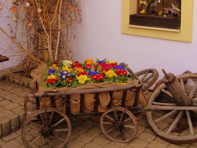 img00010.jpg