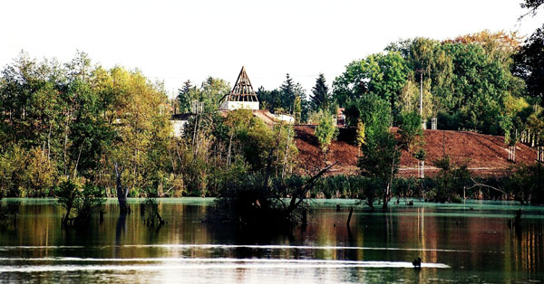 Přírodní rezervace „V Pískovně“ je nejvýznamnější ornitologickou lokalitou v Praze