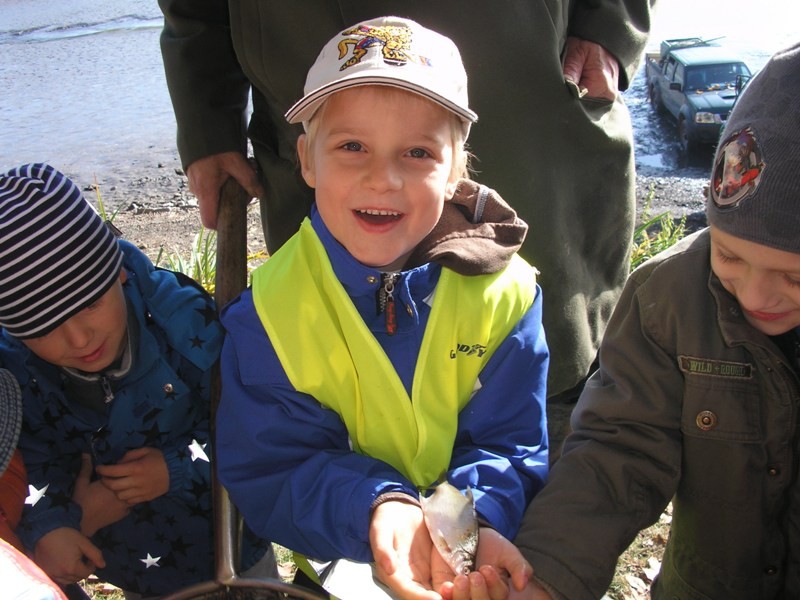 img00001.jpg