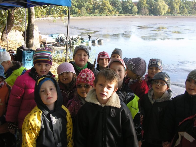 img00002.jpg