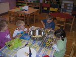 img00068.jpg